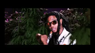 Pimpton - Too Gone (Official Video)