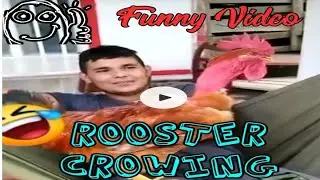 ROOSTER CROWING Funny Video 2021. Can't stop laughing 😅😅😂😂 #Chicken #Rooster #Crowing #Funny Video.