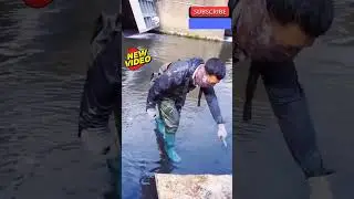 Perfect catching in Slow Motion #FishingSkills #CastNetThrow #SlowMotionCatch #TraditionalFishing