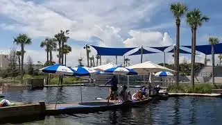 Gulfarium trip with grands. 