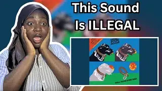 Gen Z First Time Reaction To Stray Dog 
