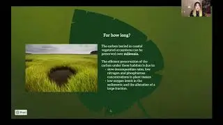 Climate Change Video Project