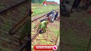 Railway Track Maintenance #shorts #track  #railway #maintenance