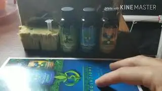 Noob Nugs' 420 subscriber giveaway! Seeds, nutrients, mamoth p, soil balance pro and more