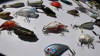 Lure collection