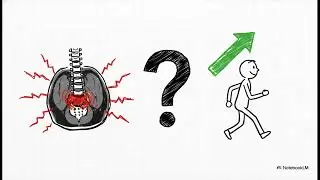 Can a Herniated Disc Heal?