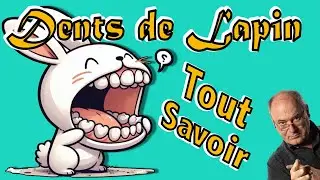Pourquoi les dents de lapin poussent (et pourquoi ça nous concerne)