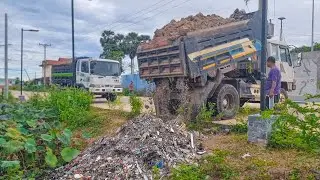 Process filling huge pond using stone smoothly work by bulldozer with Nissan dump truck