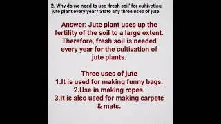 Fabric from Fibre// Class-6 DAV PUBLIC SCHOOL//CHAPTER-14/ QUESTIONS AND ANSWERS
