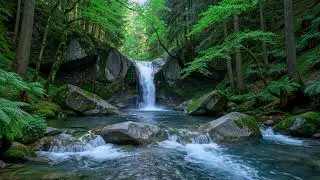 Peaceful River Soundscape 🌿 Natural Water Ambience for Meditation and Relaxation #1467