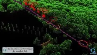 Aerial LiDAR Analytics for Electric Distribution
