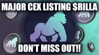 THIS IS #BULLISH! Web3's First Multichain High Yield Protocol🚀 #RillaFi $RILLA | #CEX Launch Date🔥