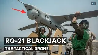 RQ-21 Blackjack: тактический дрон, изменивший способ разведки противника морскими пехотинцами США