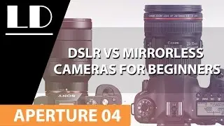 DSLR vs Mirrorless cameras for beginners