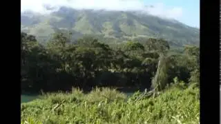 La Rebelión de la Dignidad - El movimiento zapatista en Chiapas / México