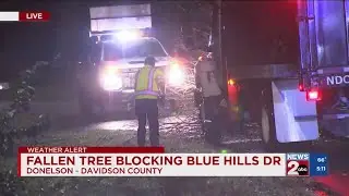 Downed tree on Blue Hills Drive in Donelson