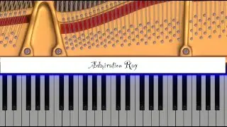 Admiration Rag (Piano Visualizer)