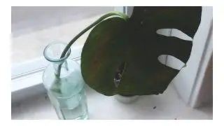 102818