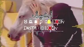 شيلة || الخد فيه الورد والتوت♥️ || بطيء مميز - مسرع مميز ♩♩