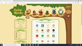 Coin Birds online passz&iacute;v bev&eacute;tel