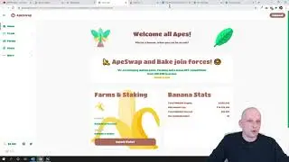 PANCAKESWAP CAKE GOOSE FINANCE BAKERYSWAP APESWAP JULSWAP BINANCE SMART CHAIN CRYPTO PRICE