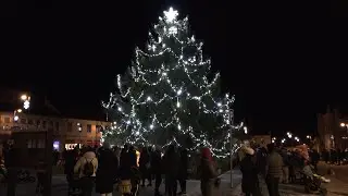 Rozsvícení vánočního stromu v Sedlci 2024