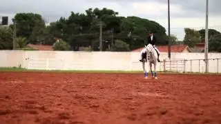 Os Segredos da Equitação