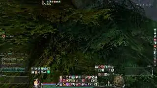 GamezAION 4.8 - Have a blast
