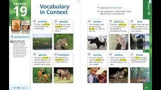 Journeys Lesson 19 Vocabulary for Third Grade: Two Bear Cubs