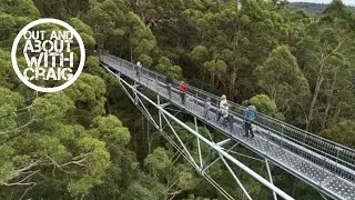 Valley of the Giants Tree Top Walk | Western Australia 🇦🇺