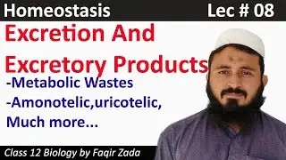 Excretion and Exretory products || Homeostasis || lecture 08 || chemistryring ||