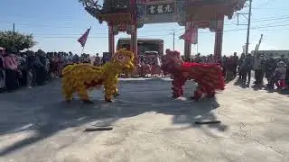 七股九龍宮乙巳年入火安座演出節目-永新彩藝藝術團