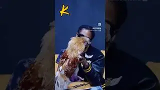 LBC CHICKEN ; WHY HE DOESNT EAT CHICKEN | KUFFED MEDIA