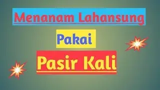 Menanam Lahansung Pakai Pasir Kali