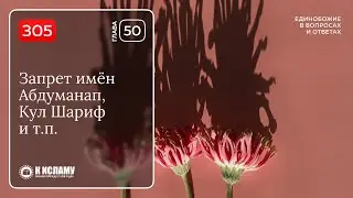 305. Глава 50. Запрет имён Абдуманап, Кул Шариф и т.п. Единобожие в вопросах и ответах