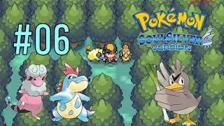 Pok&eacute;mon SoulSilver Walkthrough &ndash; Farfetch'd & Pok&eacute;mon Evolutions | Part 6