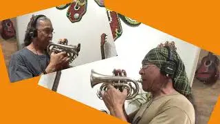 To all the girls I've loved before POCKET TRUMPET cover
