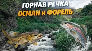 горная речка осман и форель