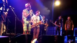 Antibalis band