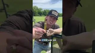 Secret Service Suburban window Vs 50 Cal sniper rifle #shorts #usa