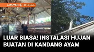 Produksi Telur Puyuh Merosot karena Panas Ekstrem, Peternak Pasang Hujan Buatan | Liputan 6 Surabaya