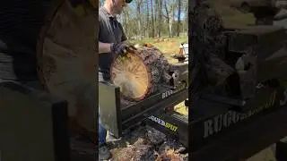 Satisfying wood splitting.. #sound #trending #viral #shortvideo #viralvideos  #amazing #viralvideo