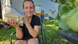 The Homestead Kitchen: Easy way to freeze sweet corn!