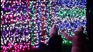 ZooLights at Stone Zoo is ready to shine!