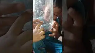 ULAR CABE PEKANBARU,RIAU