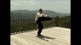 Yang style Tai chi short Form Teaching - Last Part