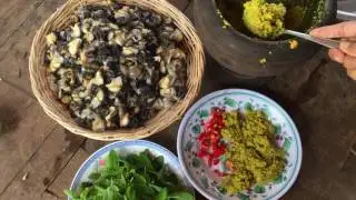 Beautiful Girls Cooking Snail, Country Food in Siem Reap Village