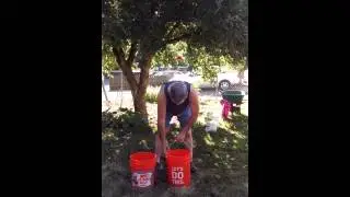 Michael Reitz and the Ice Bucket Challenge