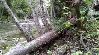 Highway 1 Big Sur River CA