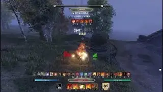 Stfu Gankbuild